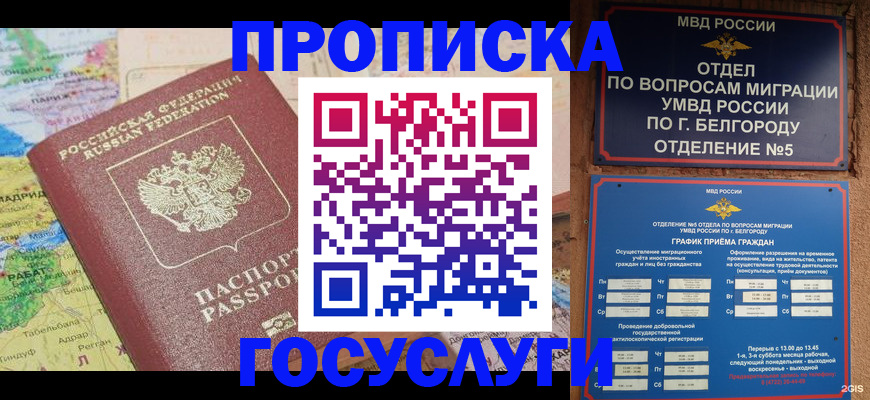 прописка регистрация в Наволоках
